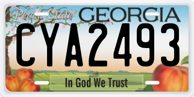 GA license plate CYA2493