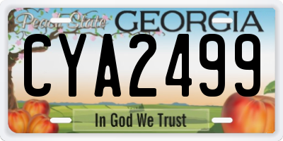 GA license plate CYA2499