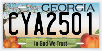 GA license plate CYA2501