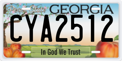 GA license plate CYA2512