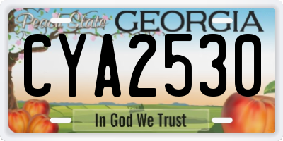 GA license plate CYA2530