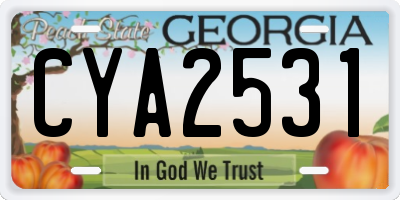 GA license plate CYA2531