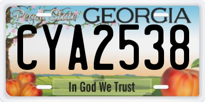 GA license plate CYA2538
