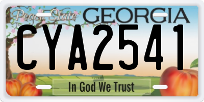 GA license plate CYA2541