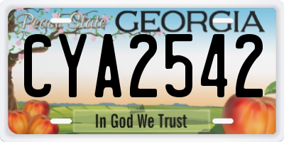 GA license plate CYA2542