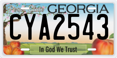 GA license plate CYA2543