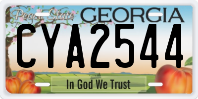 GA license plate CYA2544