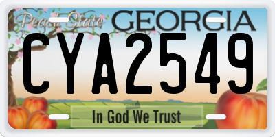 GA license plate CYA2549