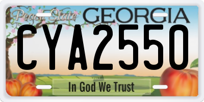 GA license plate CYA2550