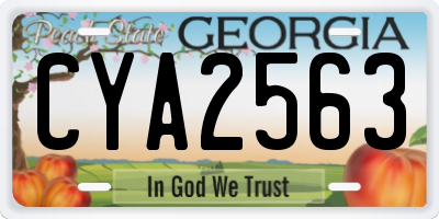 GA license plate CYA2563