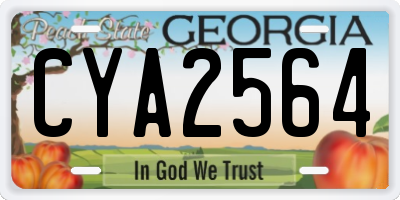 GA license plate CYA2564