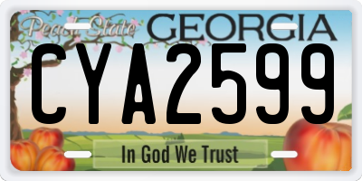 GA license plate CYA2599