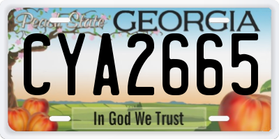 GA license plate CYA2665
