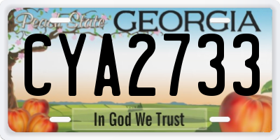 GA license plate CYA2733