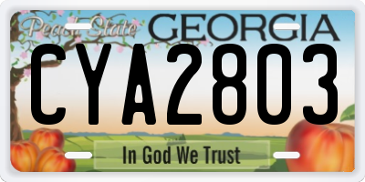 GA license plate CYA2803