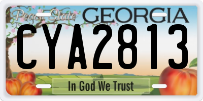 GA license plate CYA2813