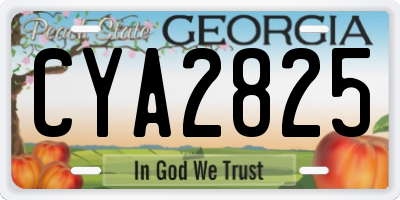 GA license plate CYA2825