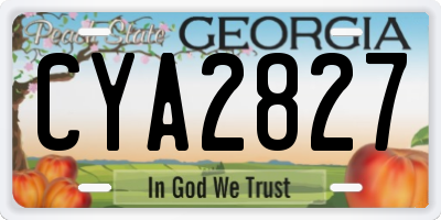 GA license plate CYA2827