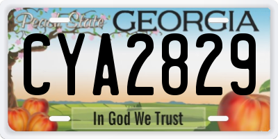GA license plate CYA2829