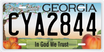 GA license plate CYA2844