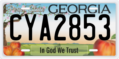 GA license plate CYA2853