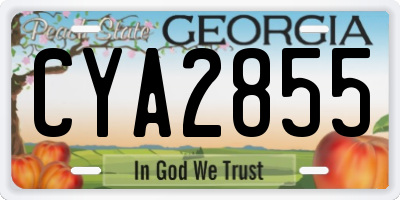 GA license plate CYA2855