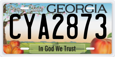 GA license plate CYA2873