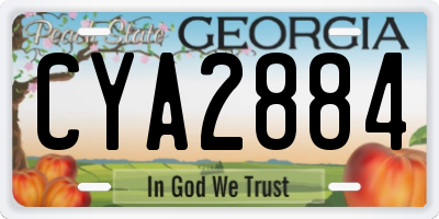 GA license plate CYA2884