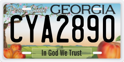 GA license plate CYA2890