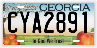 GA license plate CYA2891