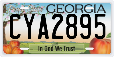 GA license plate CYA2895