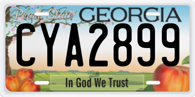 GA license plate CYA2899