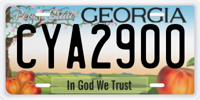 GA license plate CYA2900