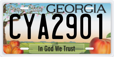 GA license plate CYA2901