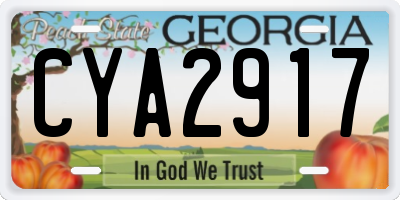 GA license plate CYA2917
