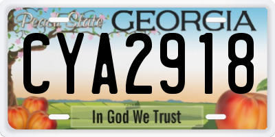 GA license plate CYA2918
