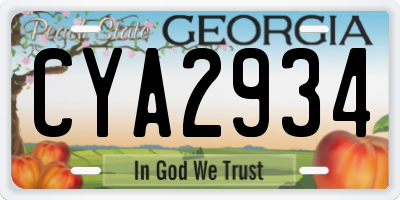 GA license plate CYA2934