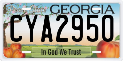 GA license plate CYA2950