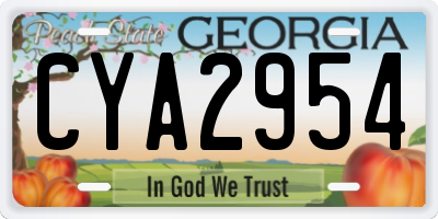GA license plate CYA2954