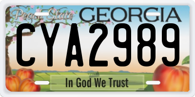 GA license plate CYA2989