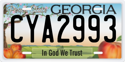 GA license plate CYA2993