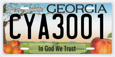 GA license plate CYA3001