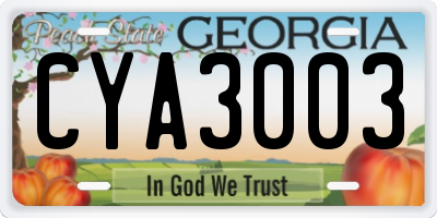 GA license plate CYA3003