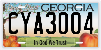 GA license plate CYA3004