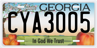 GA license plate CYA3005