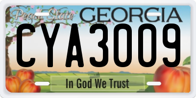 GA license plate CYA3009