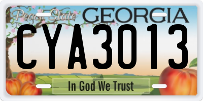 GA license plate CYA3013