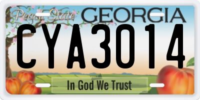 GA license plate CYA3014