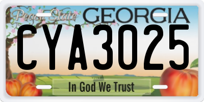 GA license plate CYA3025