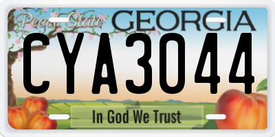 GA license plate CYA3044